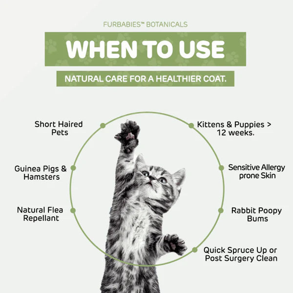 NO-RINSE SHAMPOO CONDITIONER FOR SHORT HAIRED PETS (60mls)