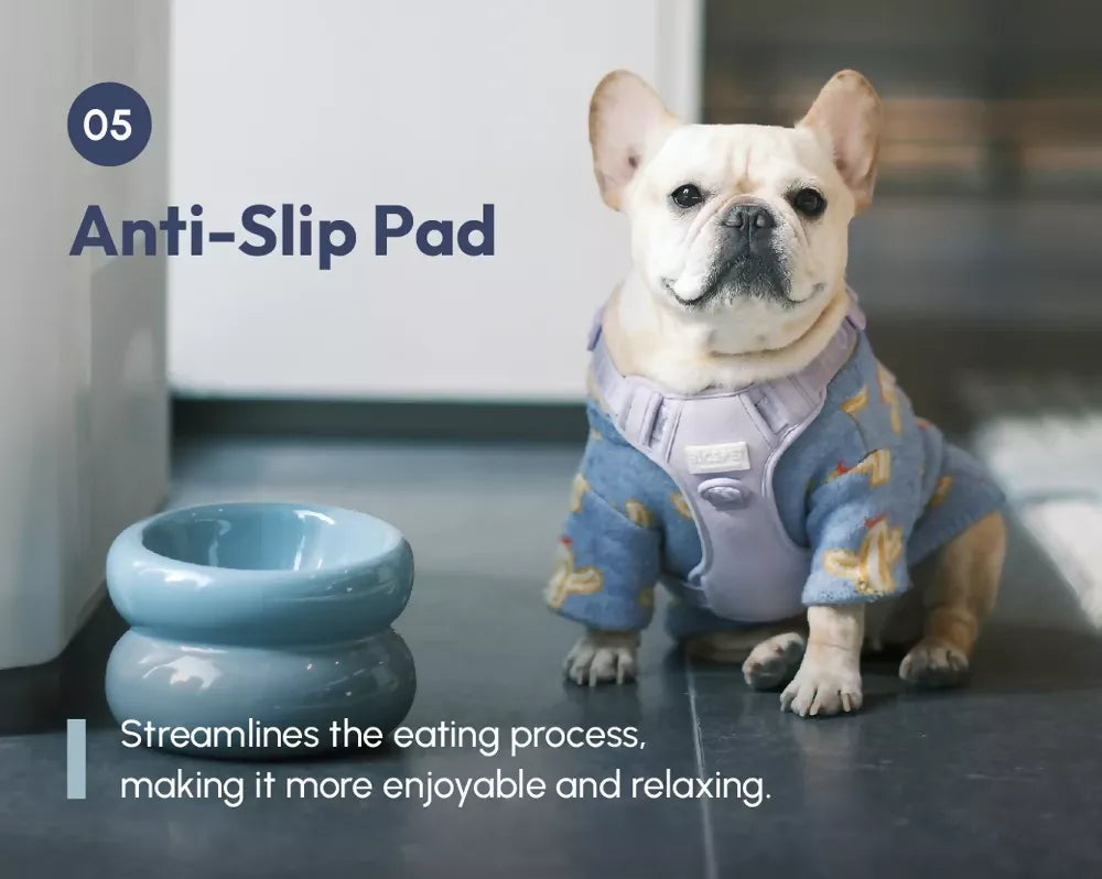 Soufflé Pet Bowl Frozen Blue 14