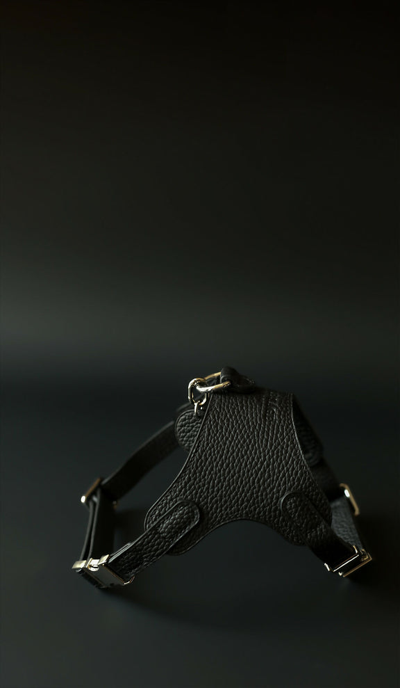 Black Togo