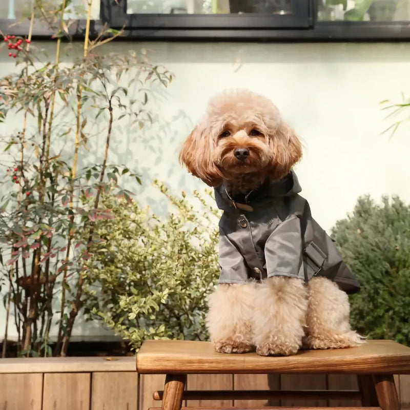 Bowery Raincoat Grey Look2