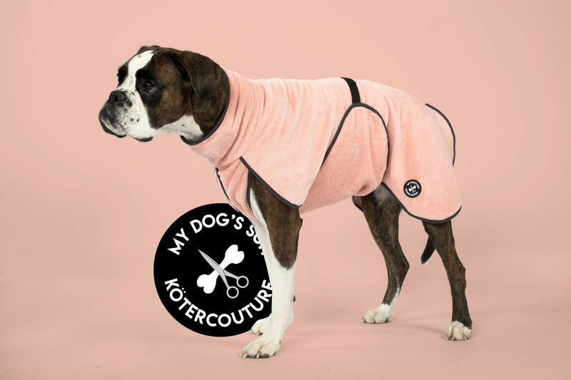 2023-12-21 MyDogSuit_308_1