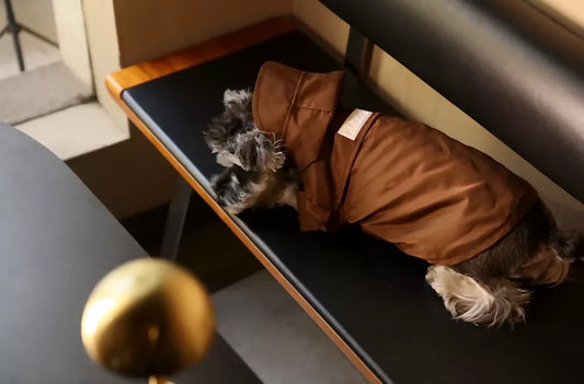 Tribeca Adjustable Velcro Raincoat - Choco Look 6