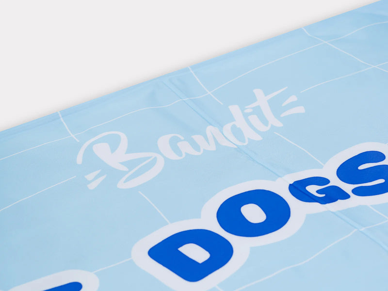 Cool Gel Mat for Dogs and Cats