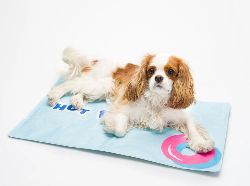 Cool Gel Mat for Dogs and Cats