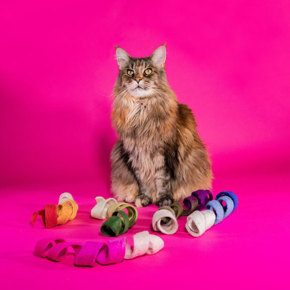 Spiral Cat Toy - Spinny Spiral - Felt Cat Toy | Mimis Daughters