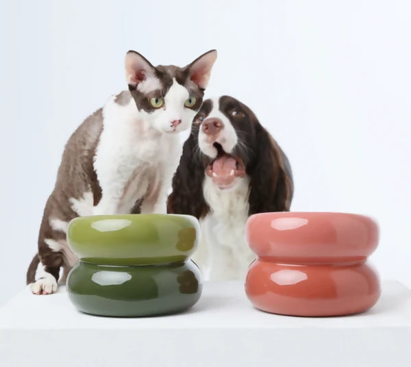 Soufflé Pet Bowl Avocado Green 2