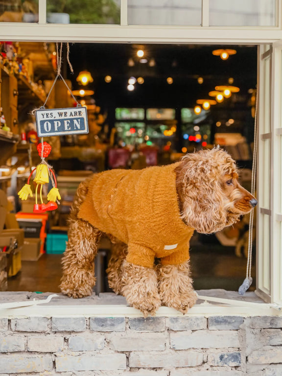 Eskimo Fuzzy Sweater Orange Look