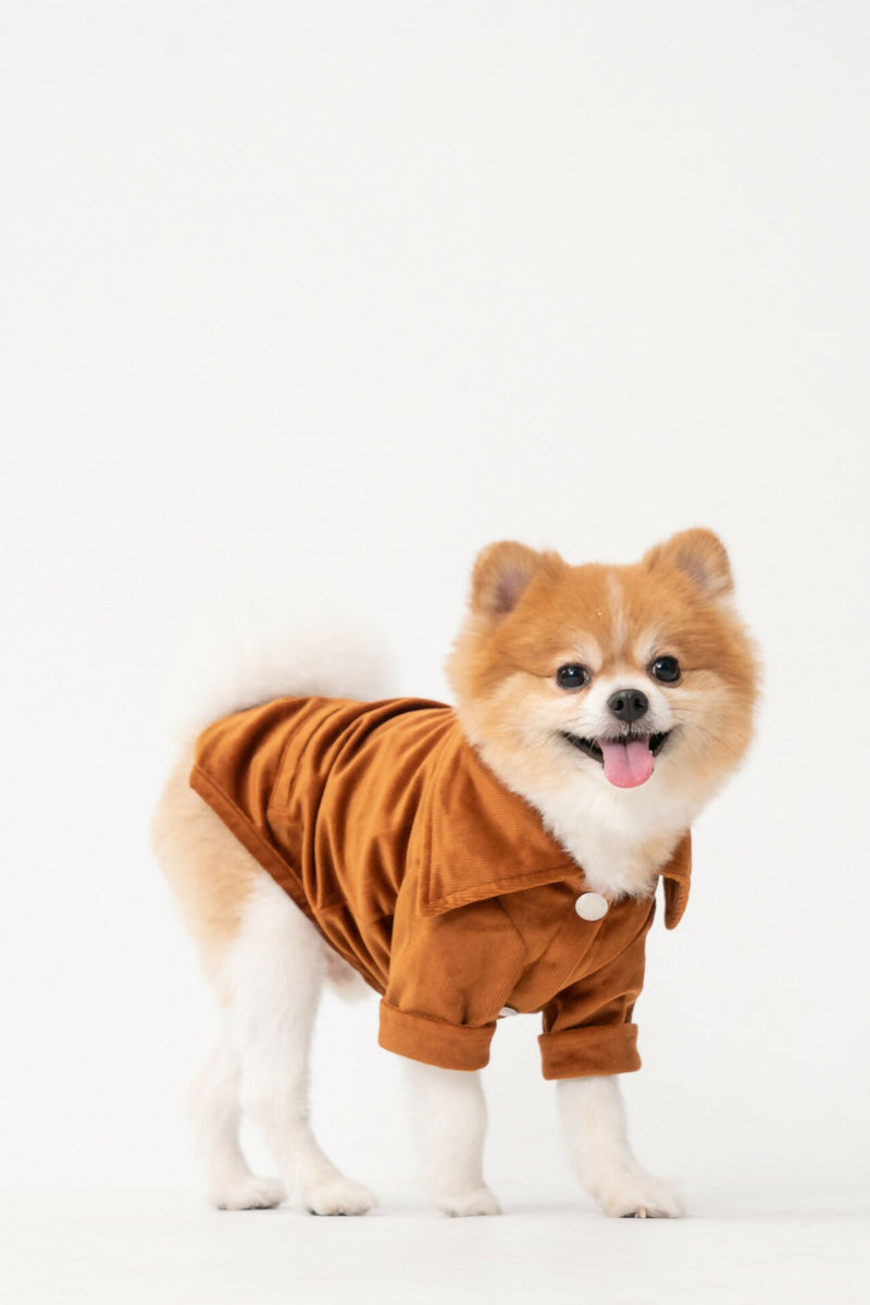 Stainway Shirt - Orange