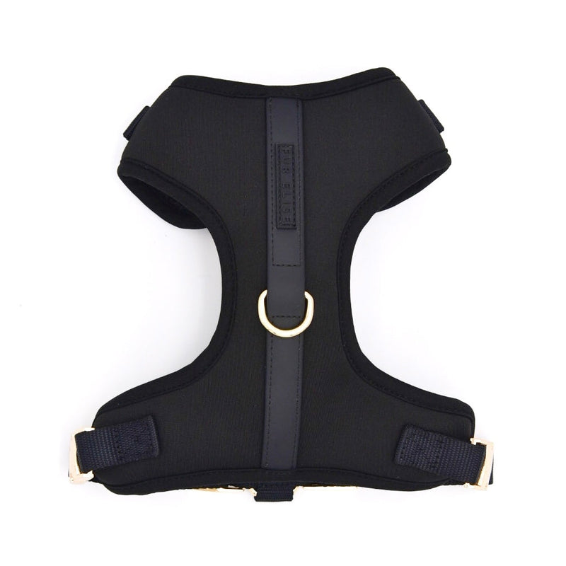 The Ultimate Walk Set - Noir