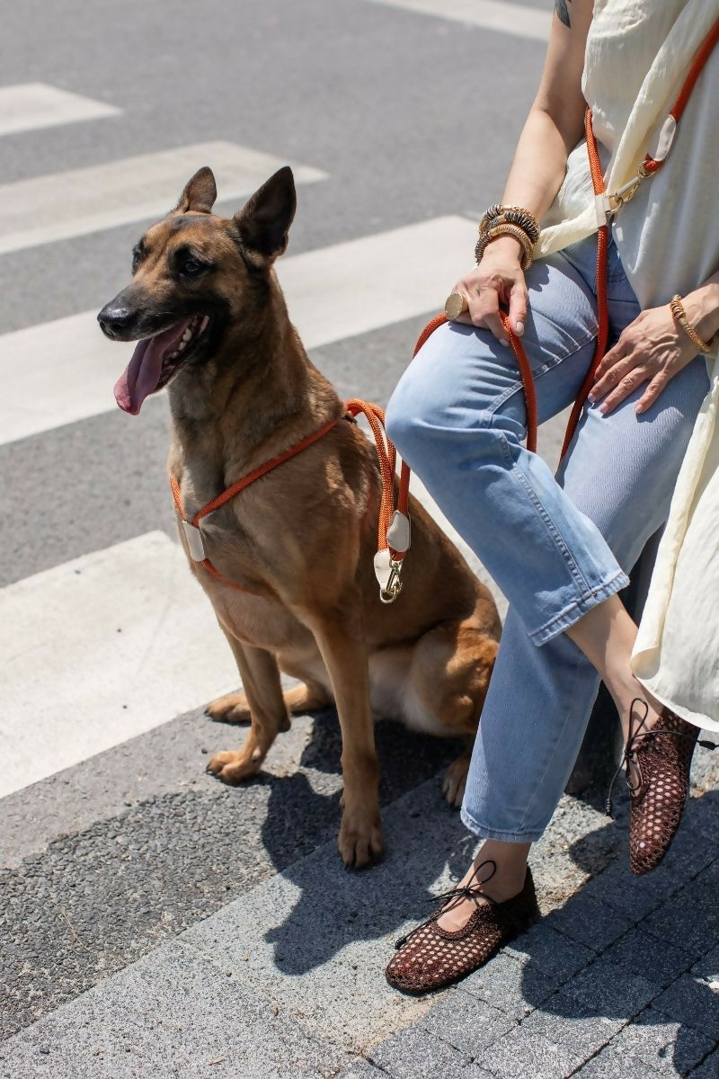 Paracord and Leather Dog Harness