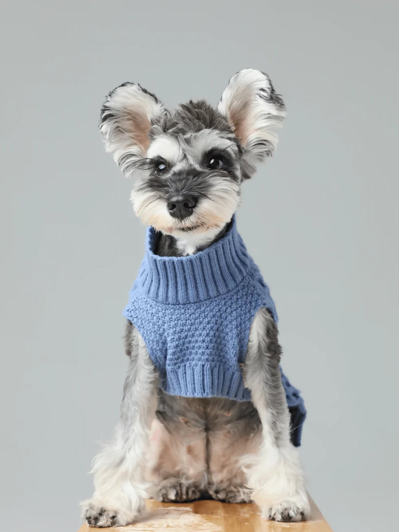 Pet Sweater Vest Ice Blue Main 2