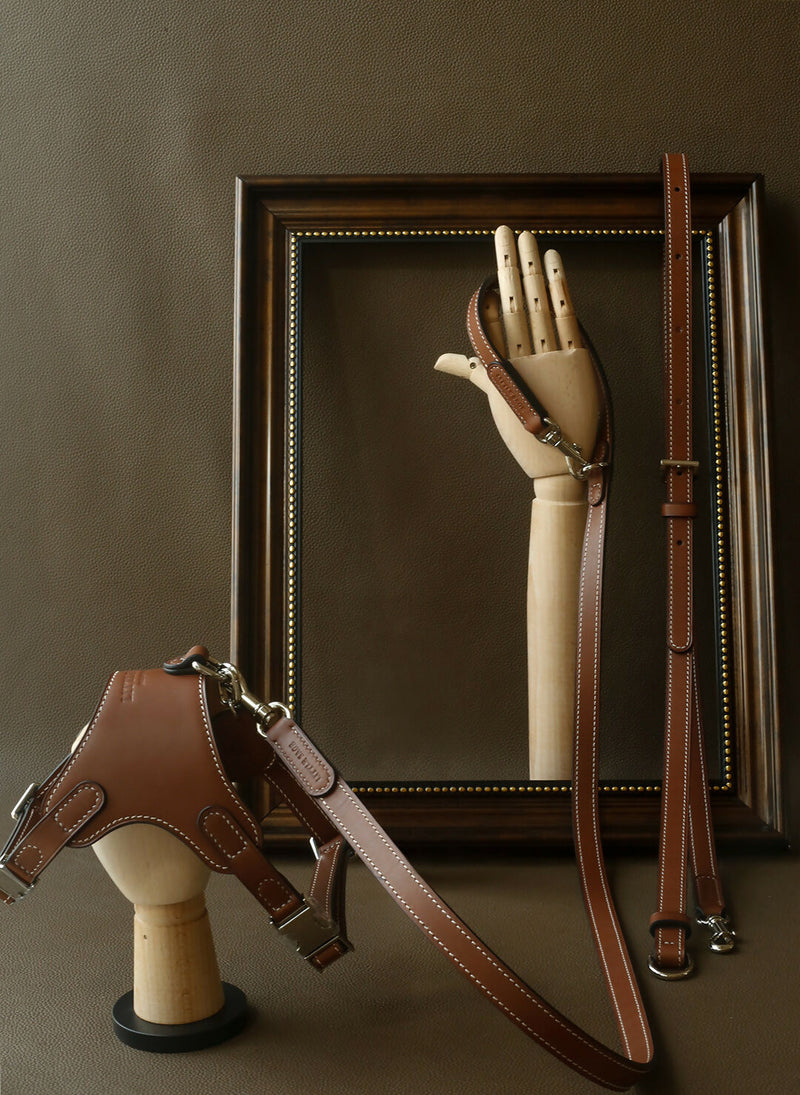 Multifunctional Two-Way Crossbody Leather Lead