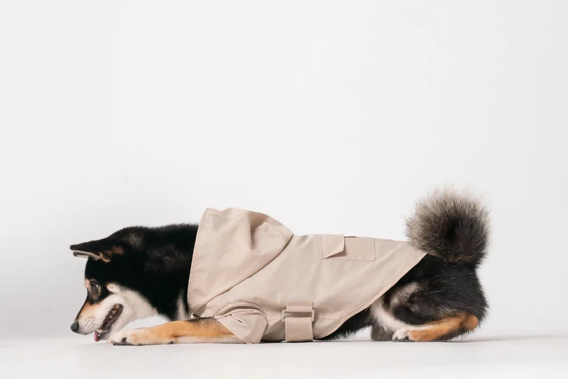 Bowery Raincoat Beige Lay