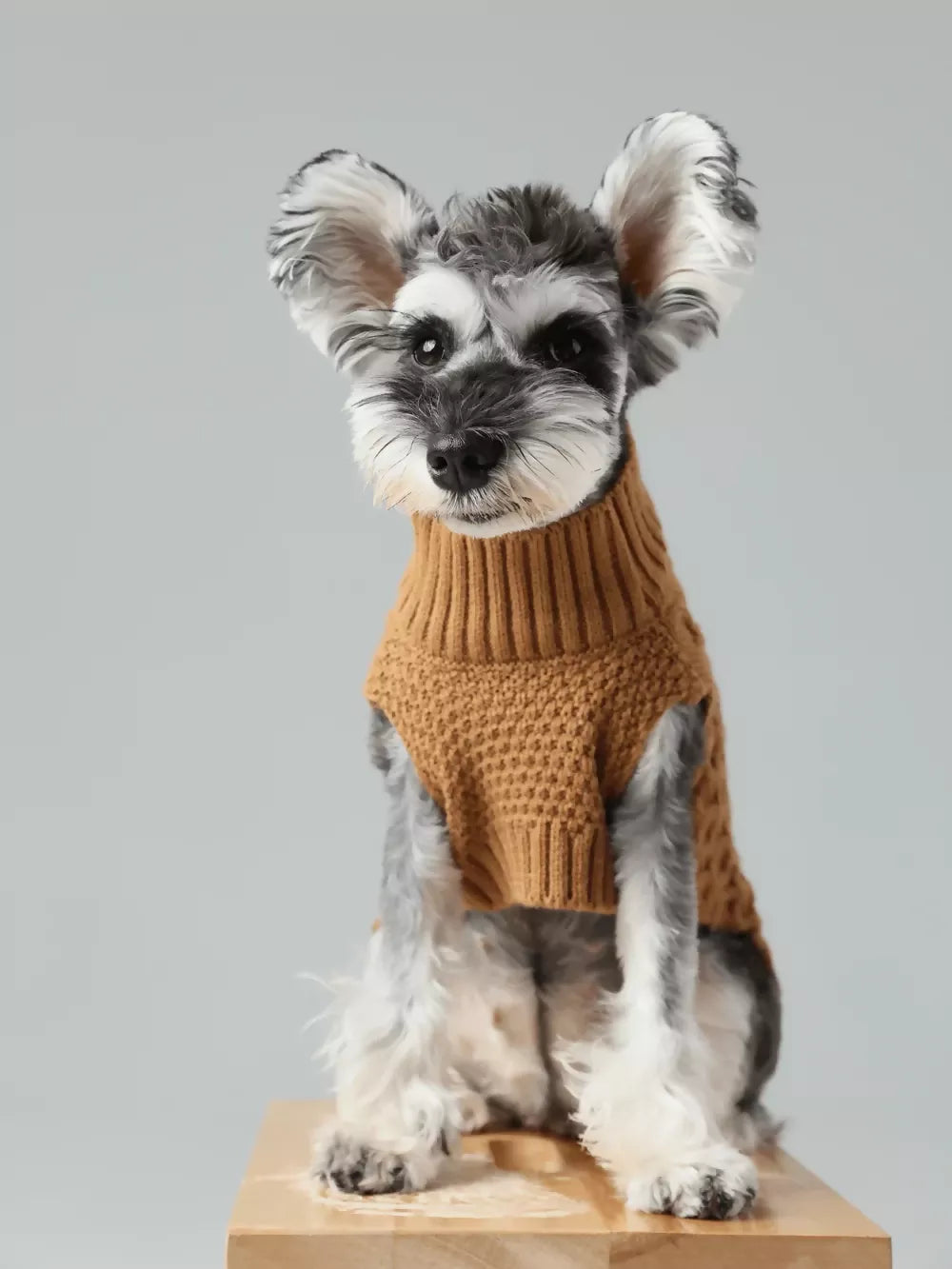 Pet Sweater Vest Toffee Orange Main 2