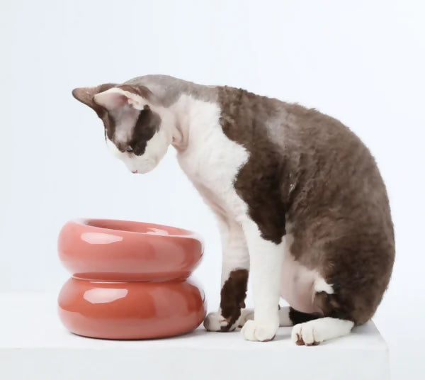 Soufflé Pet Bowl Rose Pink 2